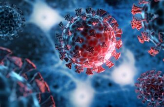 Am I at High Risk for Severe Illness from Covid-19?